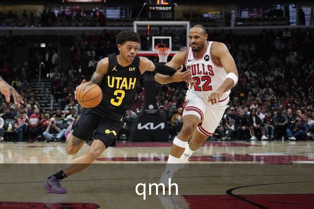 专业qmh平台